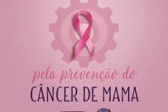 nova mulher
